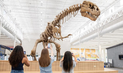 Drei Mädchen machen Fotos von einem Dinosaurierfossil im Museum