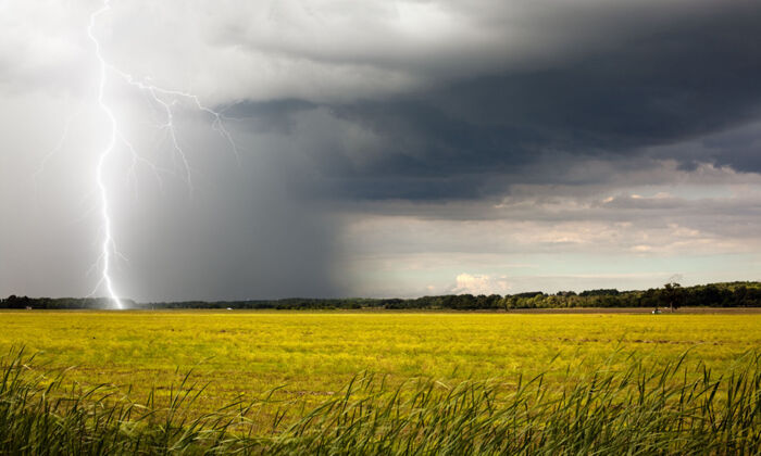 Ein heller Blitz schlägt in der Abenddämmerung auf einem Feld  ein